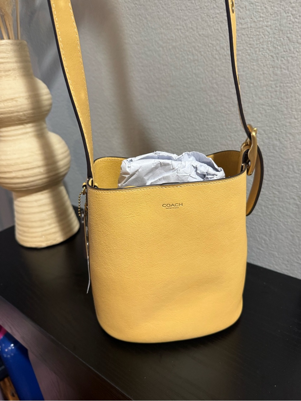 Coach Vanilla Bleeker Bucket Shoulder Bag